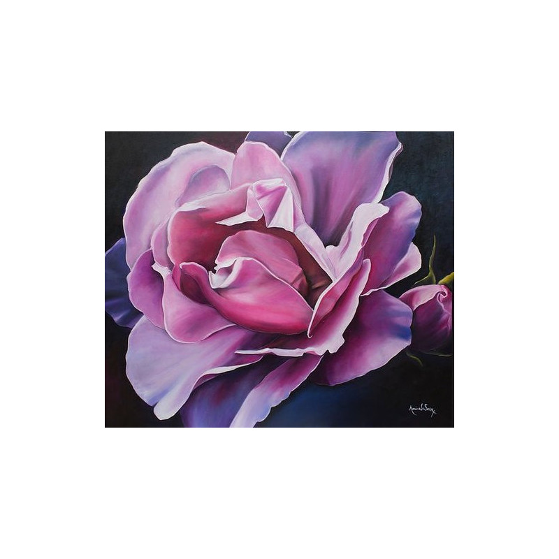 Rosa viva
