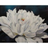 Jardín en blanco